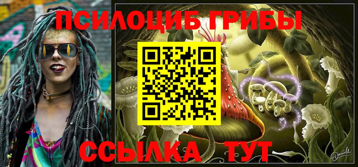 где продают наркотики  Вход с VPN  Глазов  Галлюциногенные грибы Psilocybe 