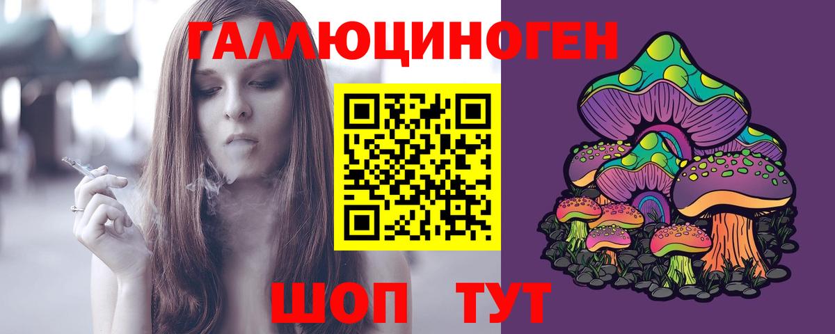Псилоцибиновые грибы мицелий Глазов